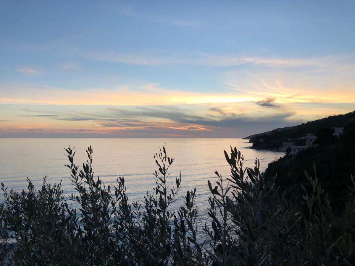 Villa Martina Mare Casal Velino Zewnętrze zdjęcie